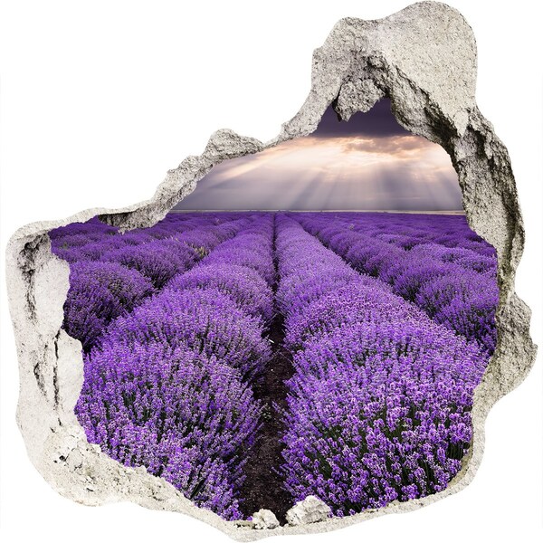 Finto buco nel muro 3D Campi di lavanda alla luce del sole al tramonto