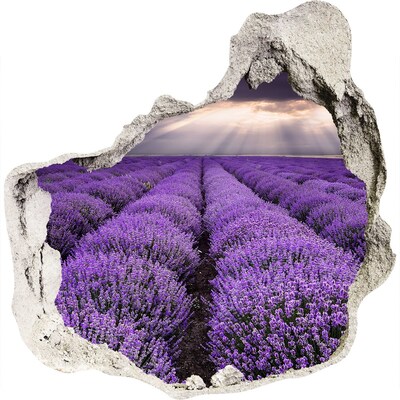 Finto buco nel muro 3D Campi di lavanda alla luce del sole al tramonto