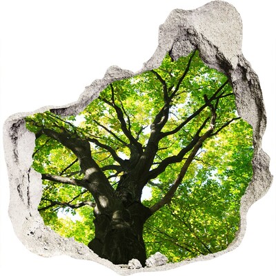 Adesivo effetto buco nel muro Foresta verde in un buco nel muro