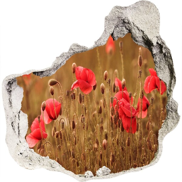 Trompe l'oeil buco nel muro Fiori tra le rovine del muro