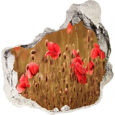 Trompe l'oeil buco nel muro Fiori tra le rovine del muro