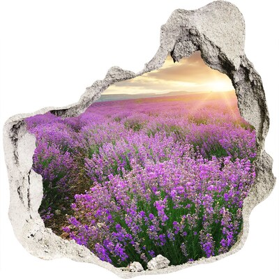 Trompe l'oeil buco nel muro Campo di lavanda all'alba