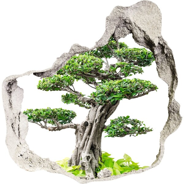 Trompe l'oeil buco nel muro Bonsai in un buco nel muro