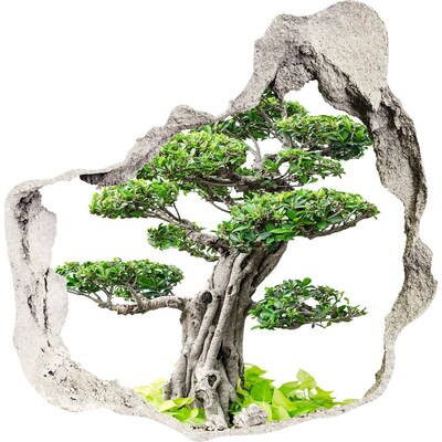Trompe l'oeil buco nel muro Bonsai in un buco nel muro