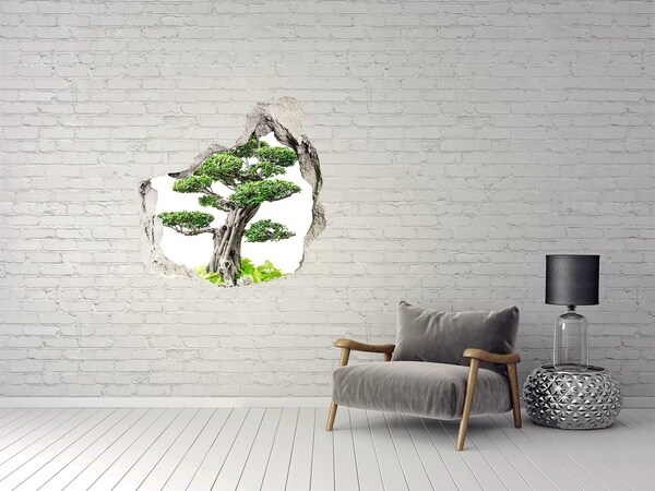 Trompe l'oeil buco nel muro Bonsai in un buco nel muro