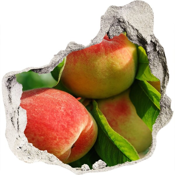 Finto buco nel muro 3D Meloto