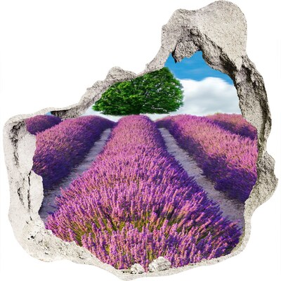Trompe l'oeil buco nel muro Campo di lavanda dietro il muro