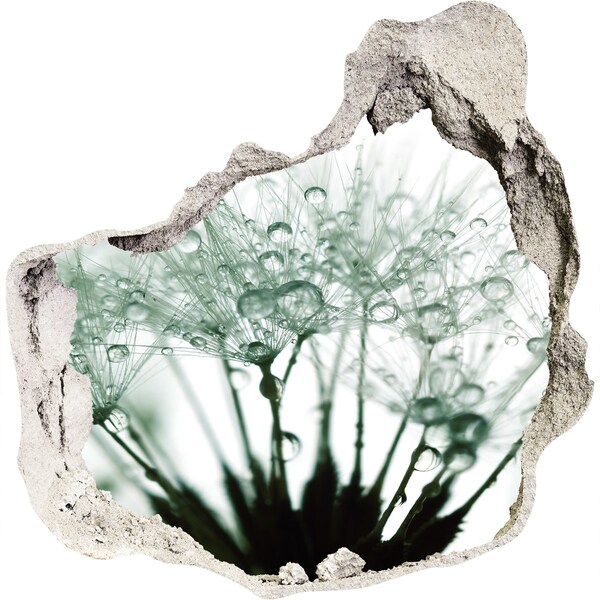 Adesivo effetto buco nel muro Un sogno floreale dietro il muro