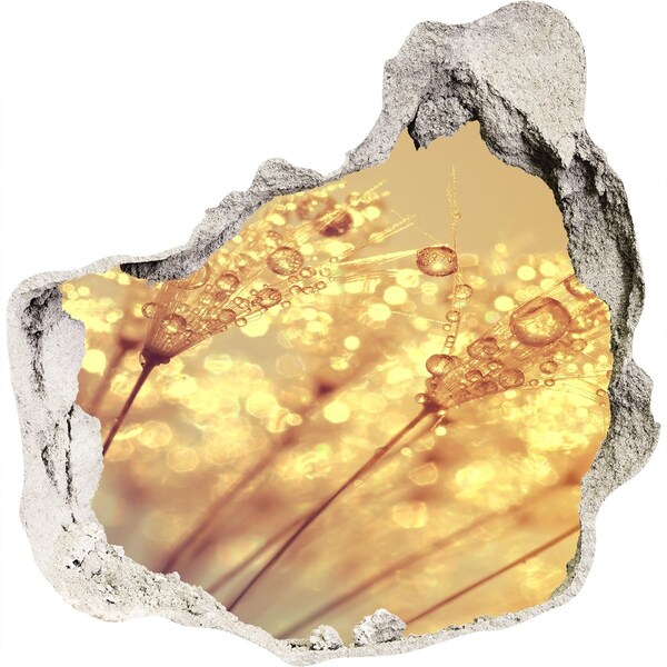 Trompe l'oeil buco nel muro Prati dorati sotto la luce del sole