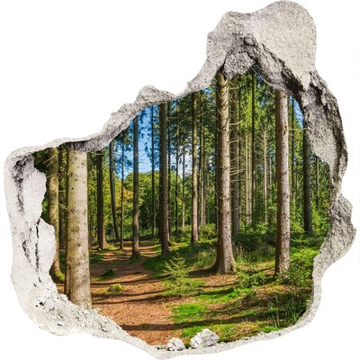 Trompe l'oeil buco nel muro Un sentiero forestale immerso nella fitta vegetazione.