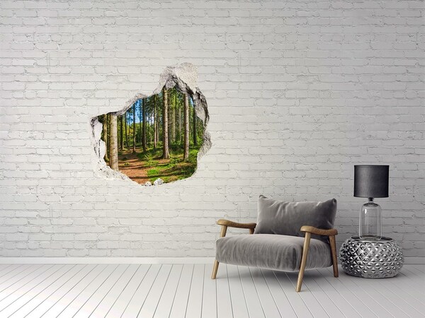 Trompe l'oeil buco nel muro Un sentiero forestale immerso nella fitta vegetazione.