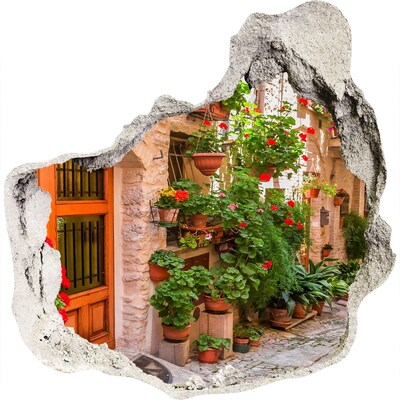 Trompe l'oeil buco nel muro Una strada incantevole con fiori