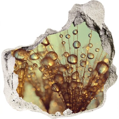 Adesivo effetto buco nel muro Gocce sui capelli delicati