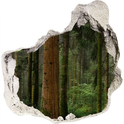 Finto buco nel muro 3D Foresta verde in un buco nel muro