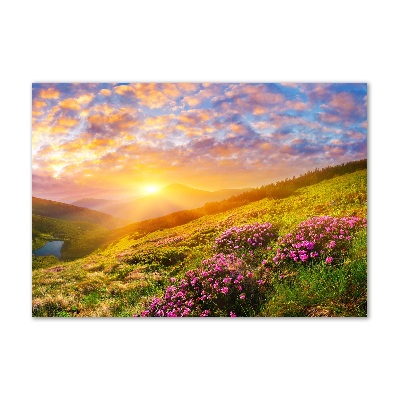 Quadro in vetro acrilico Tramonto sulle montagne