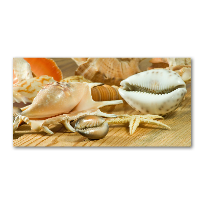 Quadro su vetro acrilico Conchiglie su legno