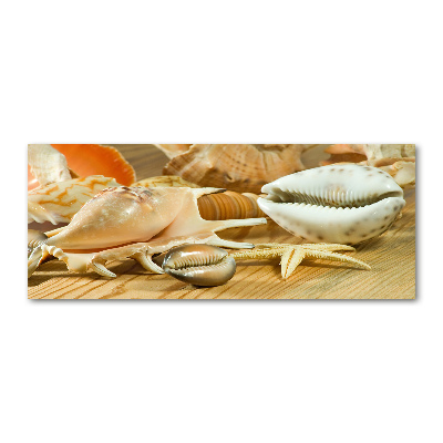 Quadro su vetro acrilico Conchiglie su legno