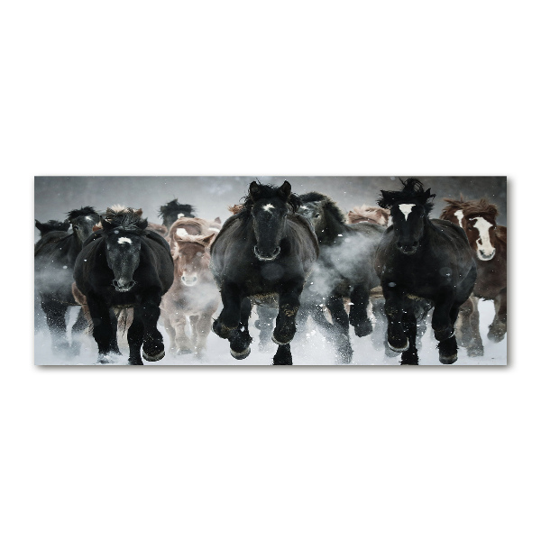Quadro vetro acrilico Cavalli al galoppo