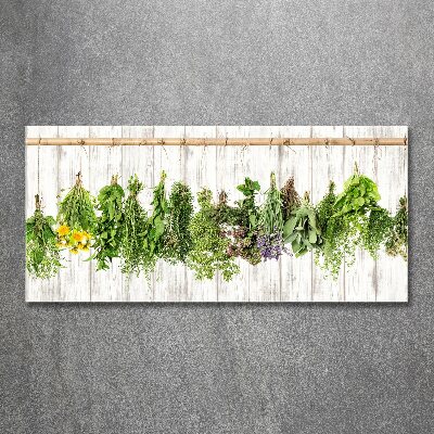 Quadro vetro acrilico Erbe aromatiche su un filo