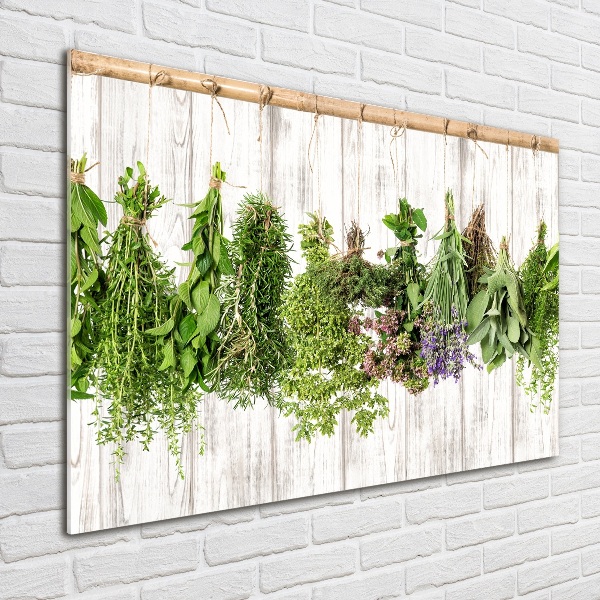 Quadro vetro acrilico Erbe aromatiche su un filo