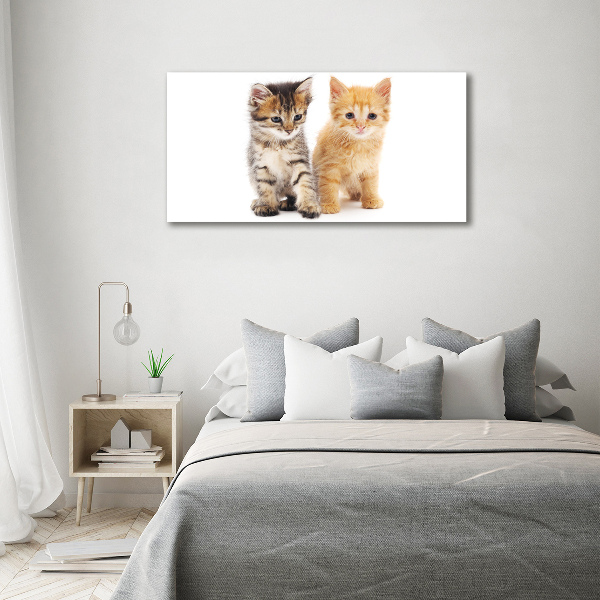 Quadro in vetro acrilico Gatto marrone e zenzero