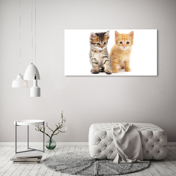Quadro in vetro acrilico Gatto marrone e zenzero