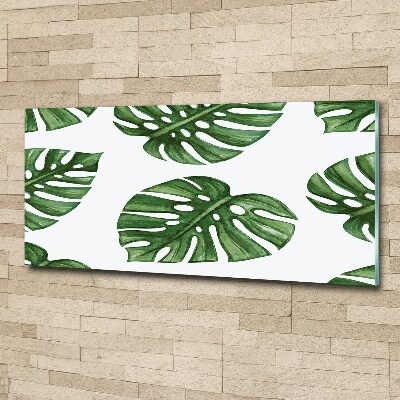 Quadro in vetro acrilico Monstera