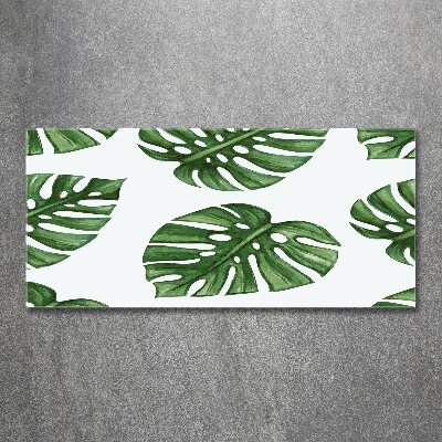 Quadro in vetro acrilico Monstera