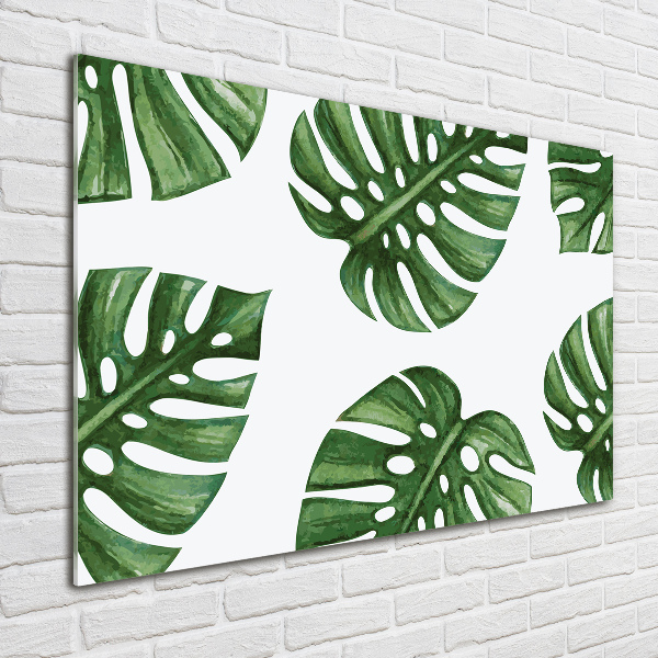 Quadro in vetro acrilico Monstera