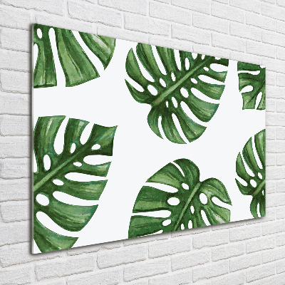 Quadro in vetro acrilico Monstera