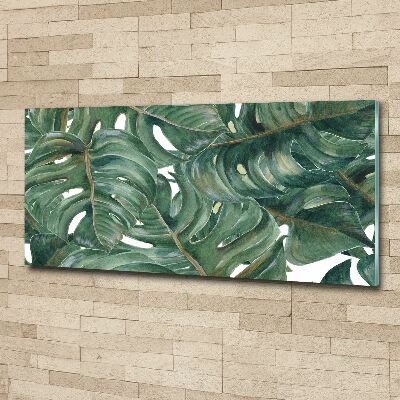 Quadro su vetro acrilico Monstera
