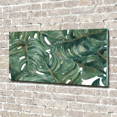 Quadro su vetro acrilico Monstera