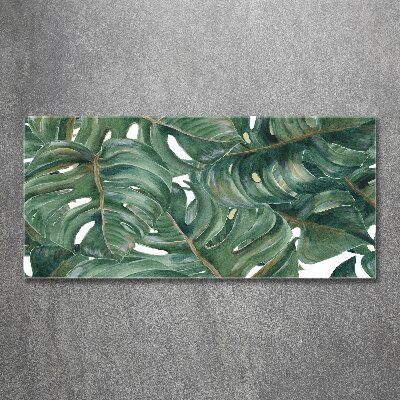 Quadro su vetro acrilico Monstera