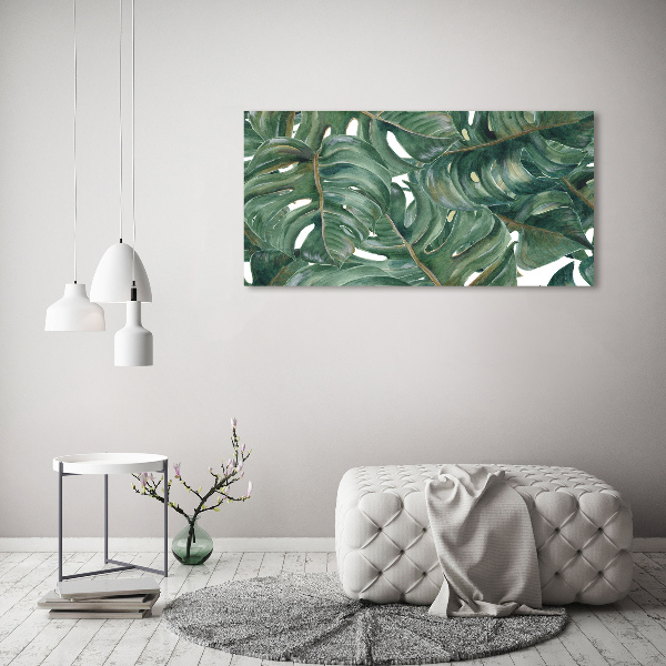 Quadro su vetro acrilico Monstera