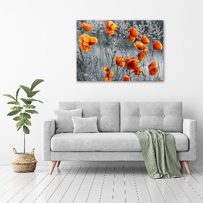 Quadro vetro acrilico Papaveri di campo