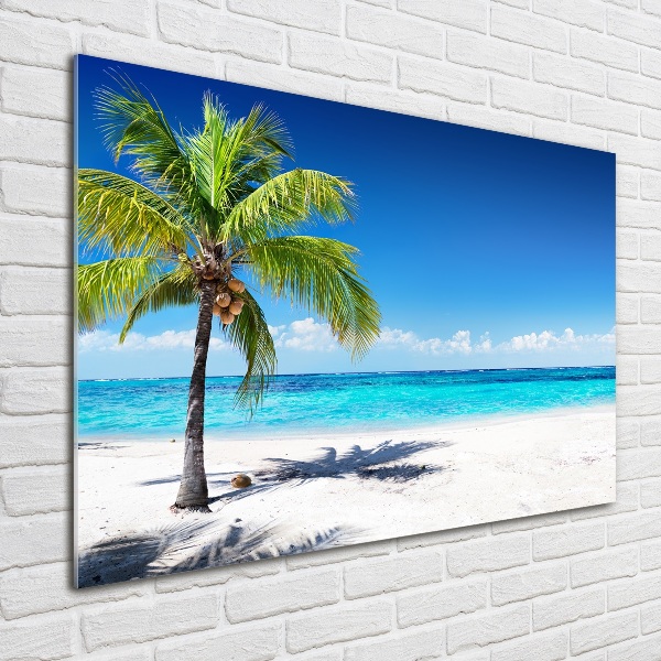 Quadro vetro acrilico Spiaggia tropicale