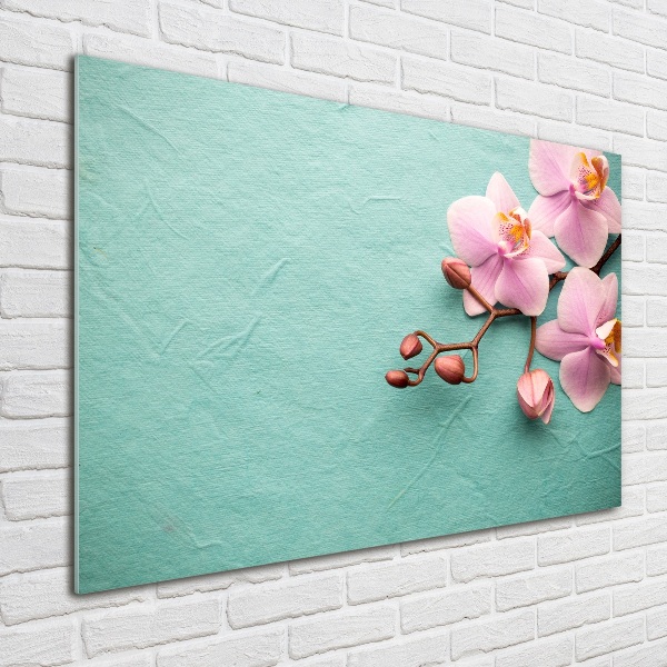 Quadro su vetro acrilico Orchidea