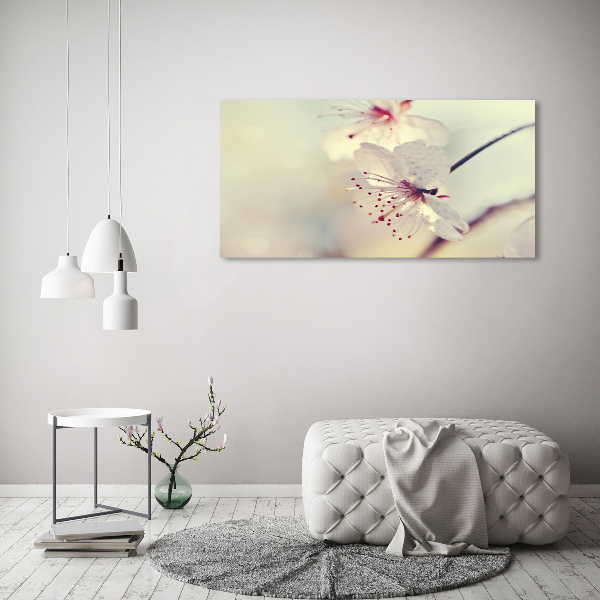 Quadro in vetro acrilico Fiori di ciliegio
