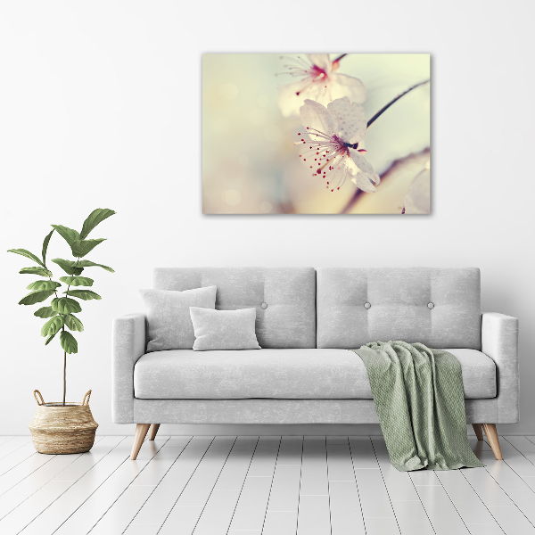 Quadro in vetro acrilico Fiori di ciliegio
