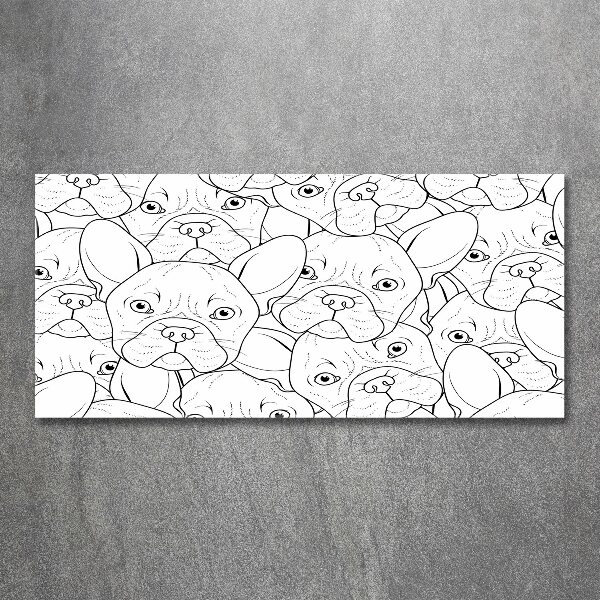 Quadro su vetro acrilico Bulldog francesi