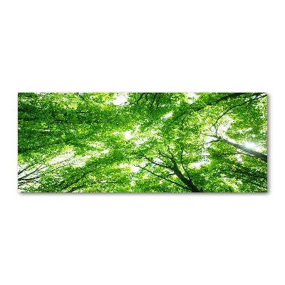 Quadro su vetro acrilico Foresta verde