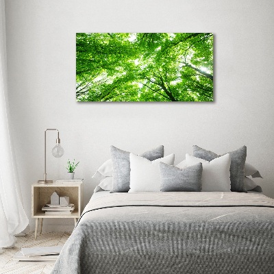 Quadro su vetro acrilico Foresta verde