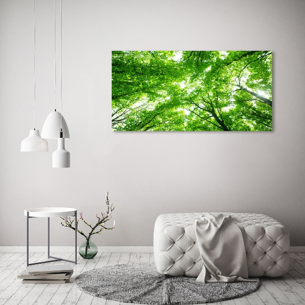 Quadro su vetro acrilico Foresta verde
