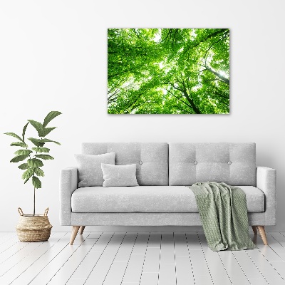 Quadro su vetro acrilico Foresta verde