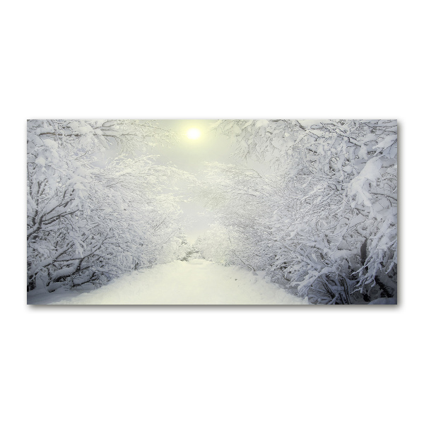 Quadro su vetro acrilico Una foresta meravigliosa in inverno