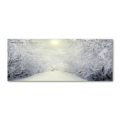 Quadro su vetro acrilico Una foresta meravigliosa in inverno