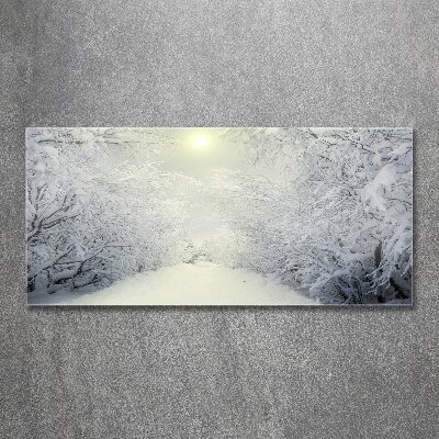 Quadro su vetro acrilico Una foresta meravigliosa in inverno