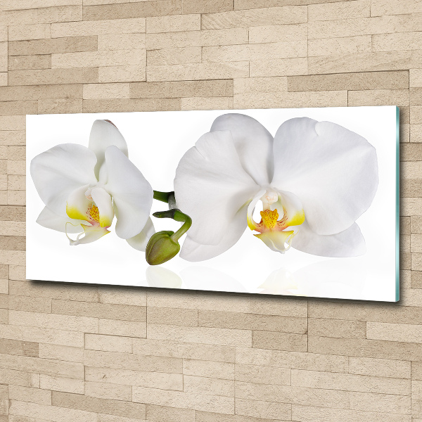 Quadro in vetro acrilico Orchidea