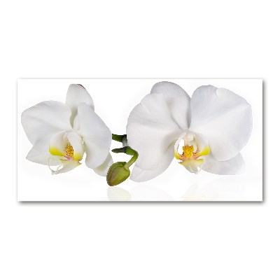 Quadro in vetro acrilico Orchidea