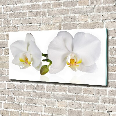 Quadro in vetro acrilico Orchidea